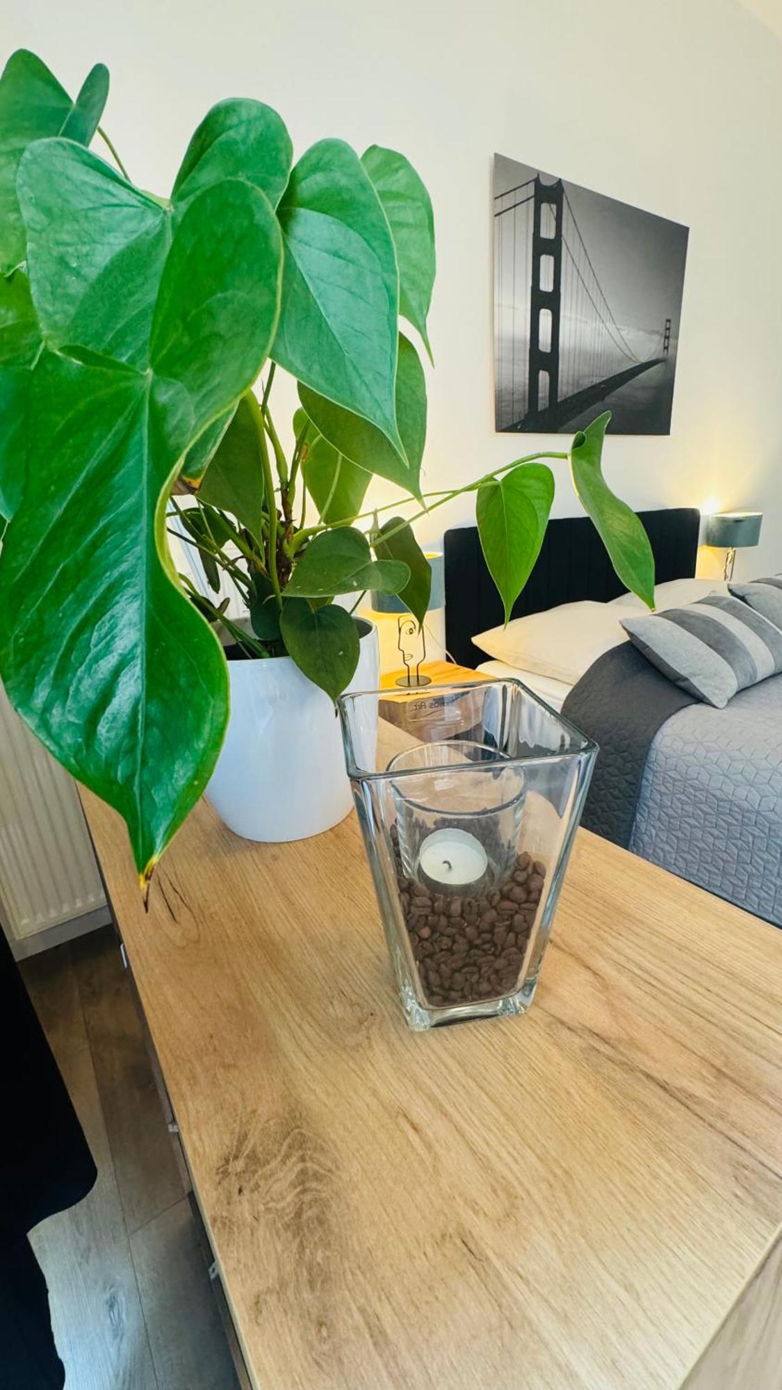 Jurga Apartment *